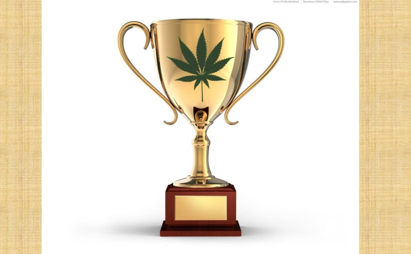 Why I Judge Cannabis Competition Judging